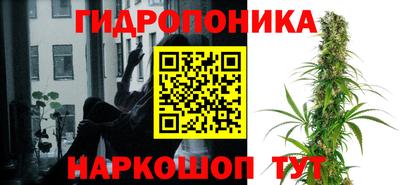 эйфоретик Нарткала