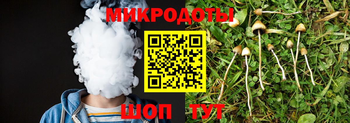 Усть-Лабинск  Галлюциногенные грибы мицелий  Галлюциногенные грибы Psilocybe  Вход с VPN 